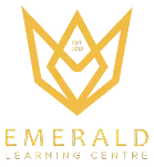 Logo 20